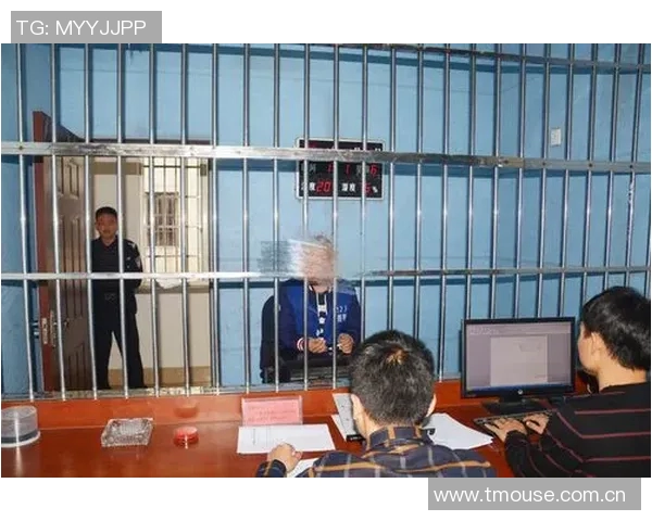 专访篮球教练杨强探索成功背后的秘密与心路历程