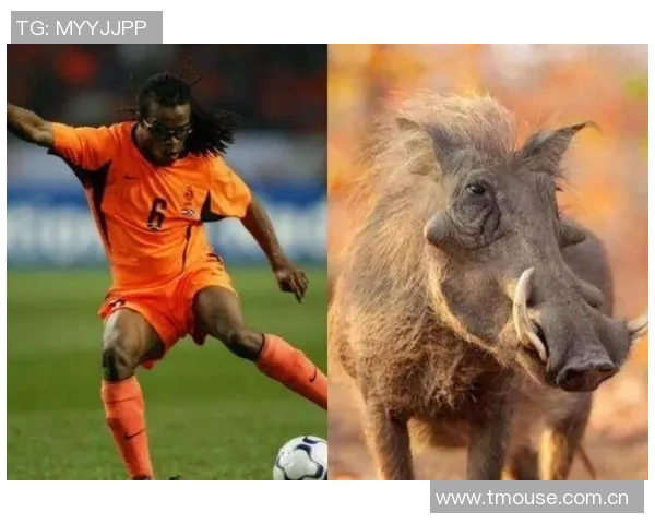 最强动物足球明星揭晓谁能在绿茵场上称霸天下 最强动物足球明星揭晓谁能在绿茵场上称霸天下