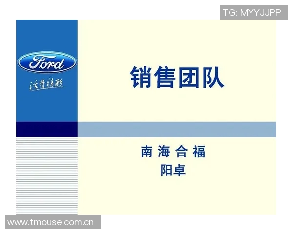 深圳篮球队在大师赛中的团队协作表现分析与评价