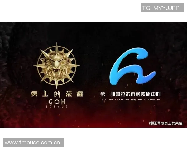 武汉篮球队崛起之路精英赛背后的奋斗与荣耀