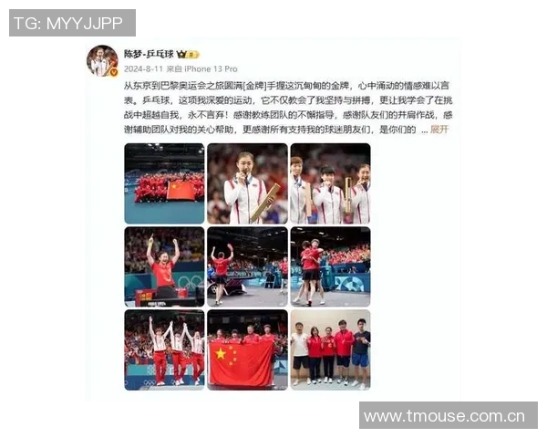 北京乒乓球队在奥运会上的卓越表现与团队力量的深度解析