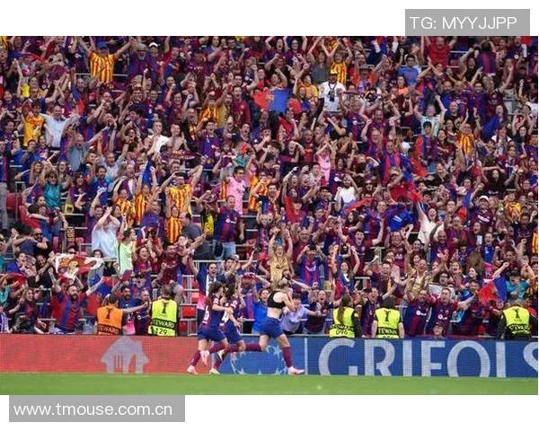 赛况足球明星豪华版全新体验尽享激情与荣耀的足球盛宴