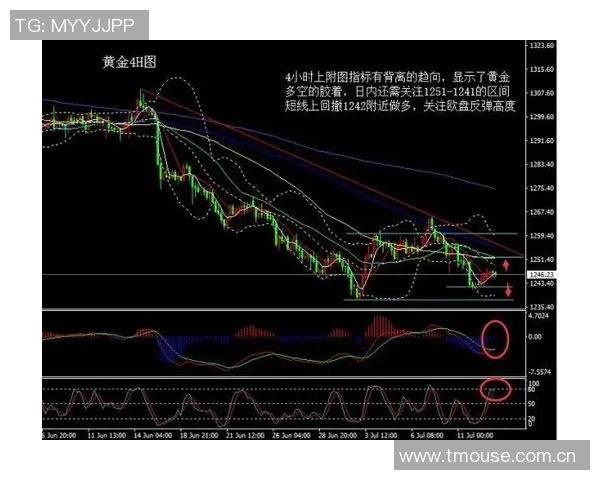 独家解析杭州羽毛球队实力对比及未来发展潜力分析