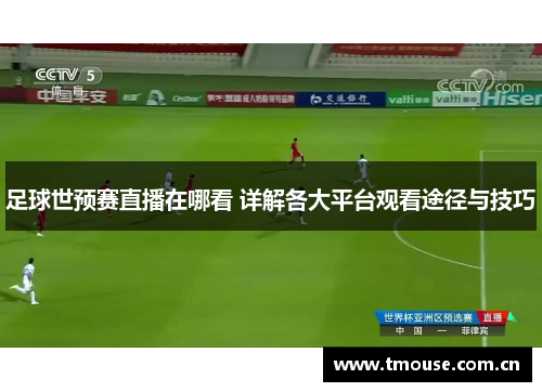 足球世预赛直播在哪看 详解各大平台观看途径与技巧