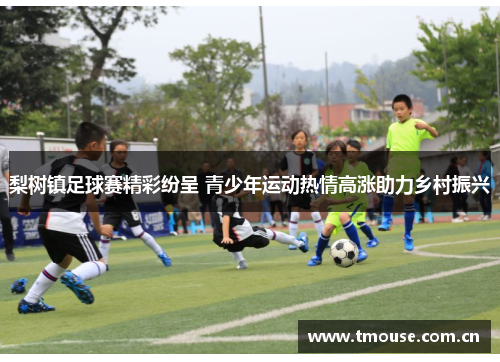 梨树镇足球赛精彩纷呈 青少年运动热情高涨助力乡村振兴