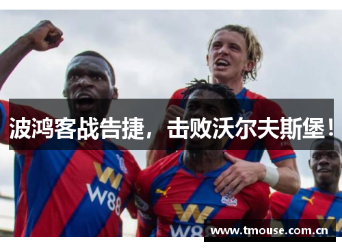 波鸿客战告捷，击败沃尔夫斯堡！