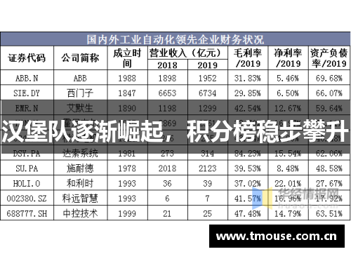汉堡队逐渐崛起，积分榜稳步攀升