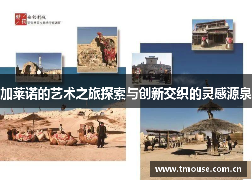 加莱诺的艺术之旅探索与创新交织的灵感源泉